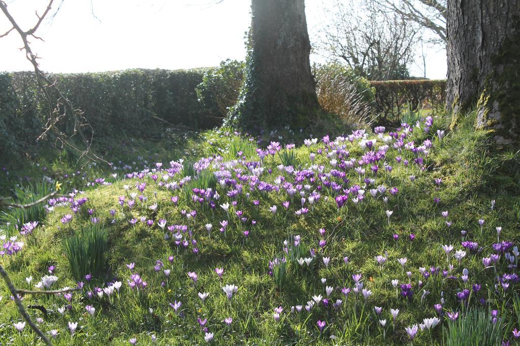 Dungiven Ballyhargan Farm House מראה חיצוני תמונה