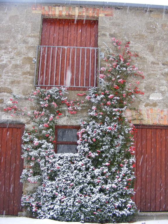 Dungiven Ballyhargan Farm House מראה חיצוני תמונה
