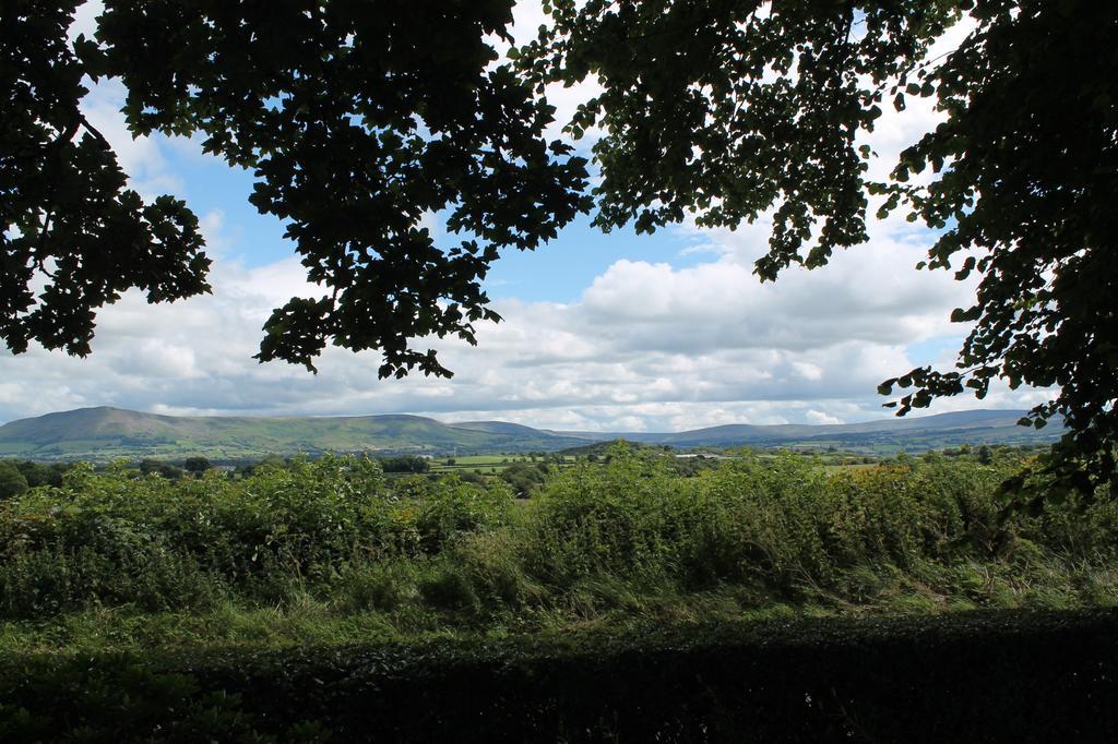 Dungiven Ballyhargan Farm House מראה חיצוני תמונה