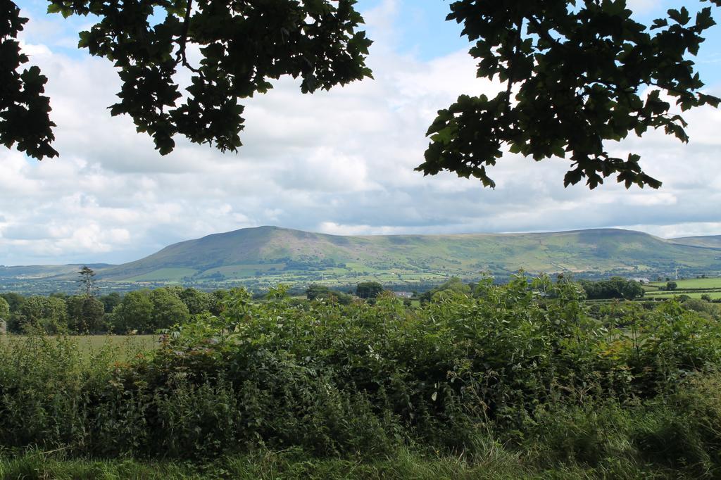 Dungiven Ballyhargan Farm House מראה חיצוני תמונה