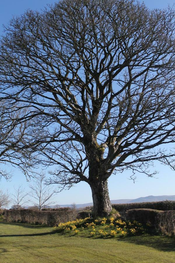 Dungiven Ballyhargan Farm House מראה חיצוני תמונה